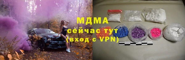 сатива Аркадак