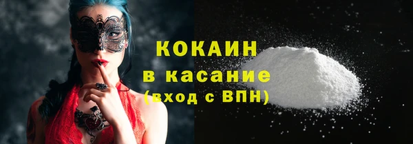 сатива Аркадак