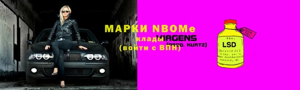 сатива Аркадак