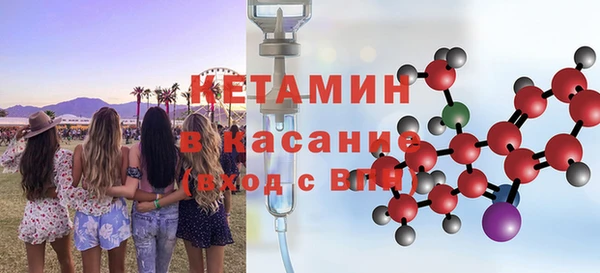 сатива Аркадак