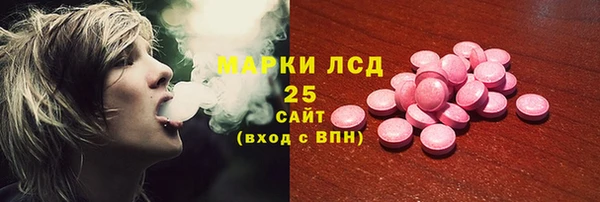 сатива Аркадак