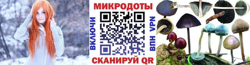 Псилоцибиновые грибы мицелий  Закаменск 